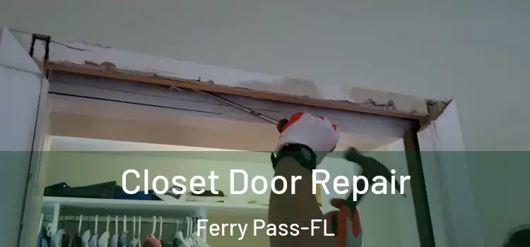 Closet Door Repair Ferry Pass-FL