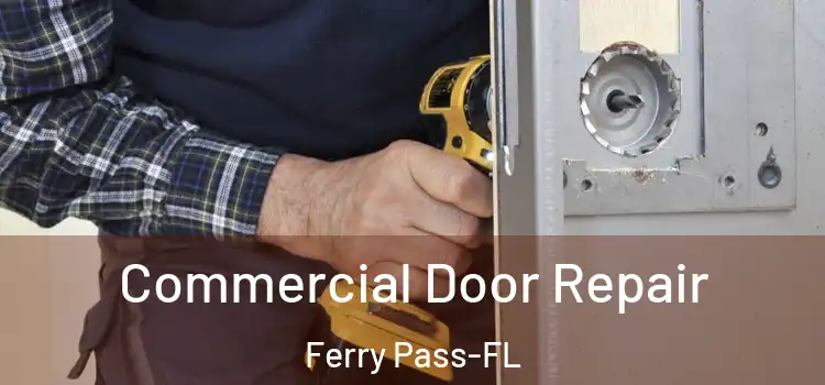 Commercial Door Repair Ferry Pass-FL