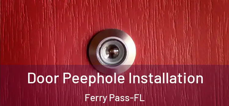 Door Peephole Installation Ferry Pass-FL