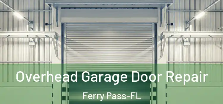 Overhead Garage Door Repair Ferry Pass-FL