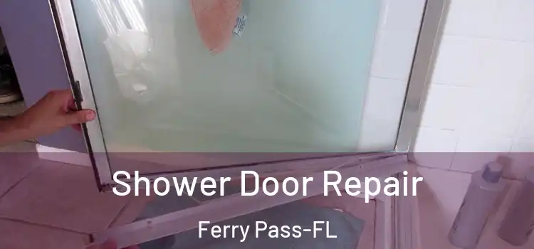 Shower Door Repair Ferry Pass-FL